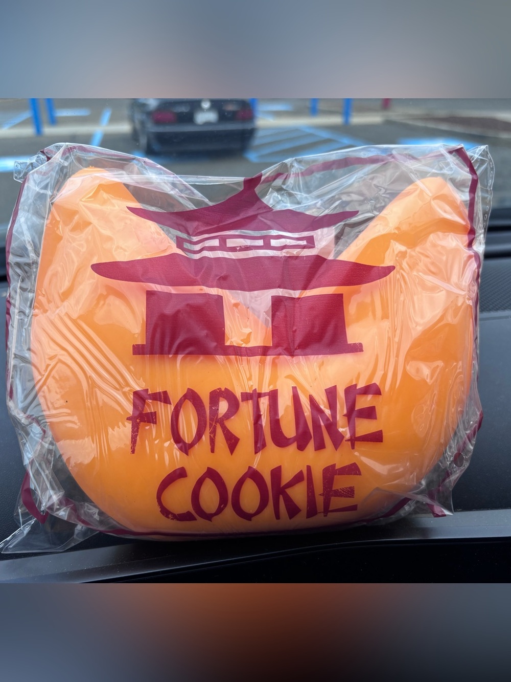 The Big Squij Jumbo Fortune Cookie Squishy Toy